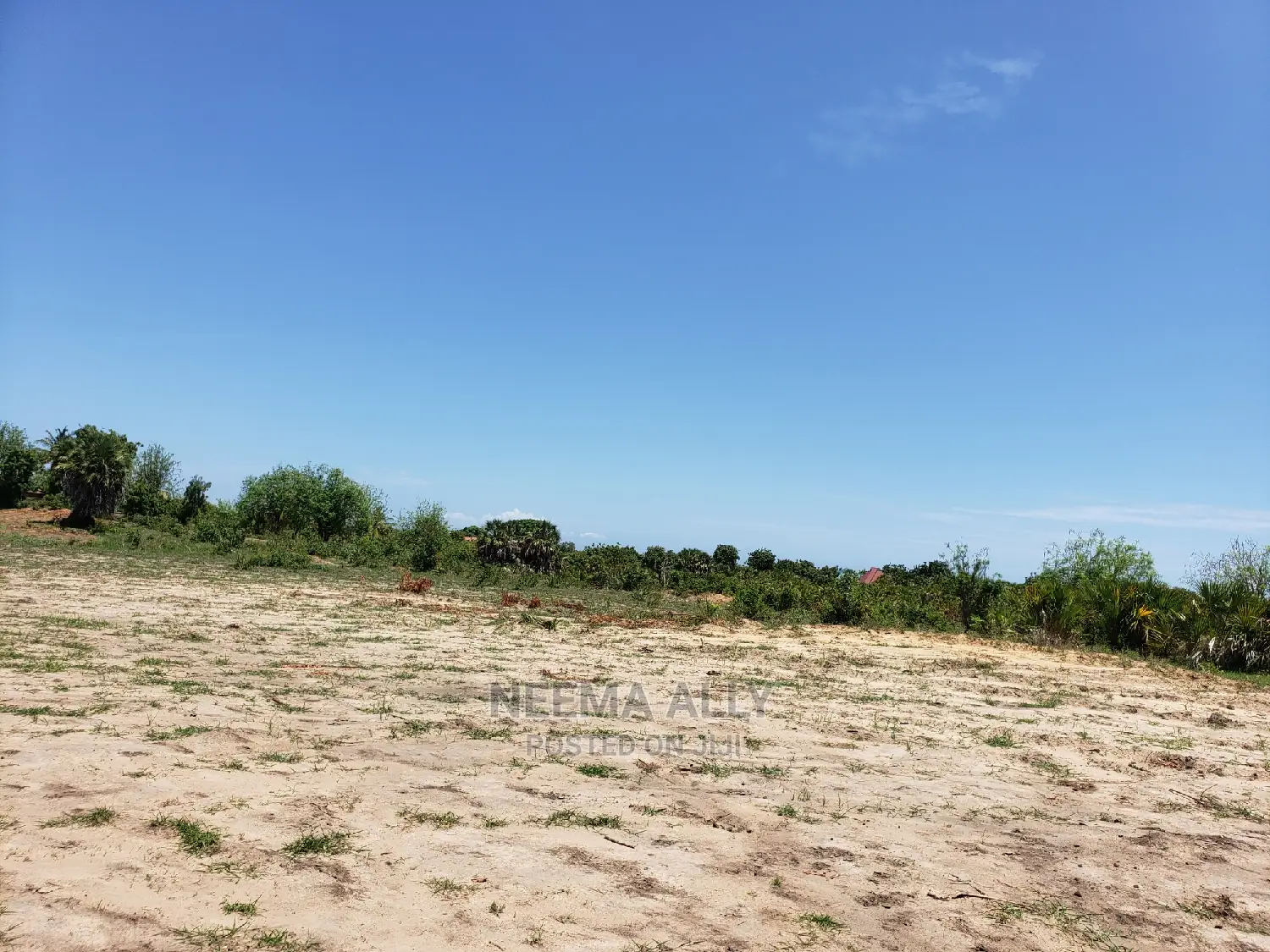 Puna Beach Plots