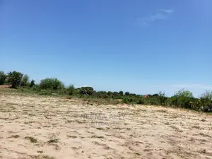 Puna Beach Plots