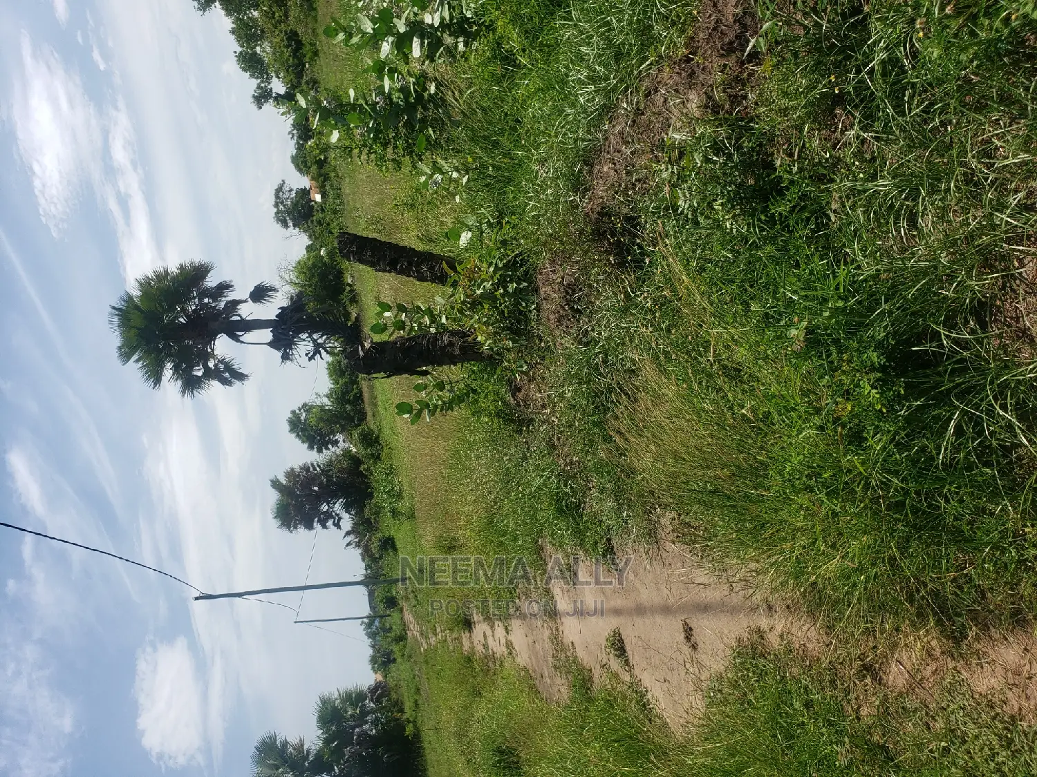 Kigamboni Kimbiji Karibu Na Jeshi