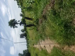 Kigamboni Kimbiji Karibu Na Jeshi