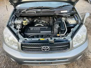 Toyota RAV4 2005 Gray