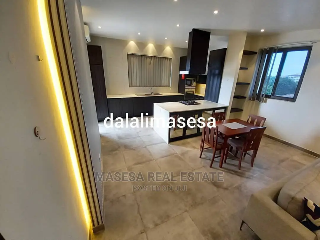 Furnished 1bdrm Apartment in Masaki for rent