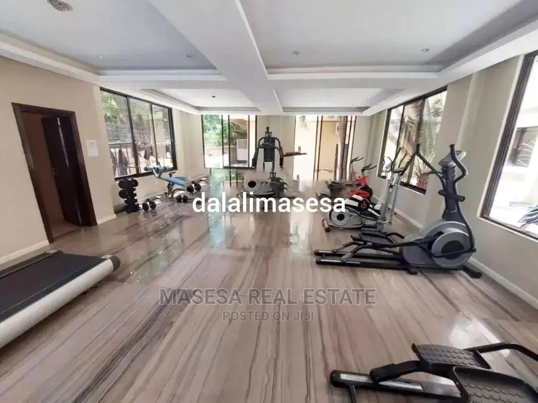 Furnished 3bdrm Apartment in Masaki for rent