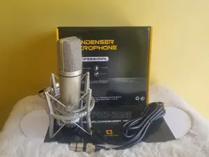 Profesional Condenser Microphone