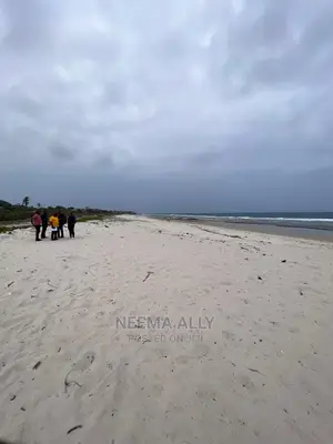 Beach Plots Mbutu Kichangani