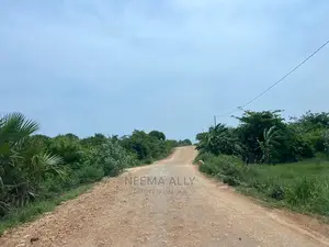 Mbutu McHikichini Kigamboni