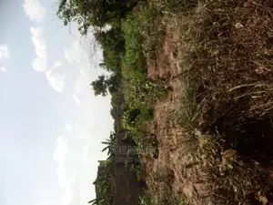 1 Acre for Sale,Kibaha