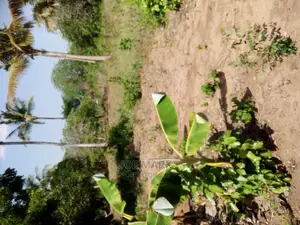 1 Acre for Sale,Kibaha