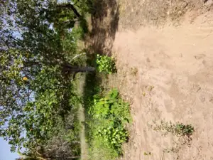 1 Acre for Sale,Kibaha