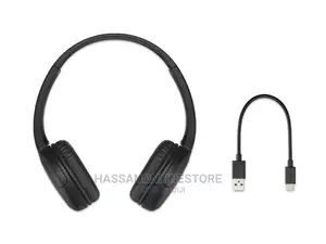 WH-CH510 Wireless Headphones With Microphone