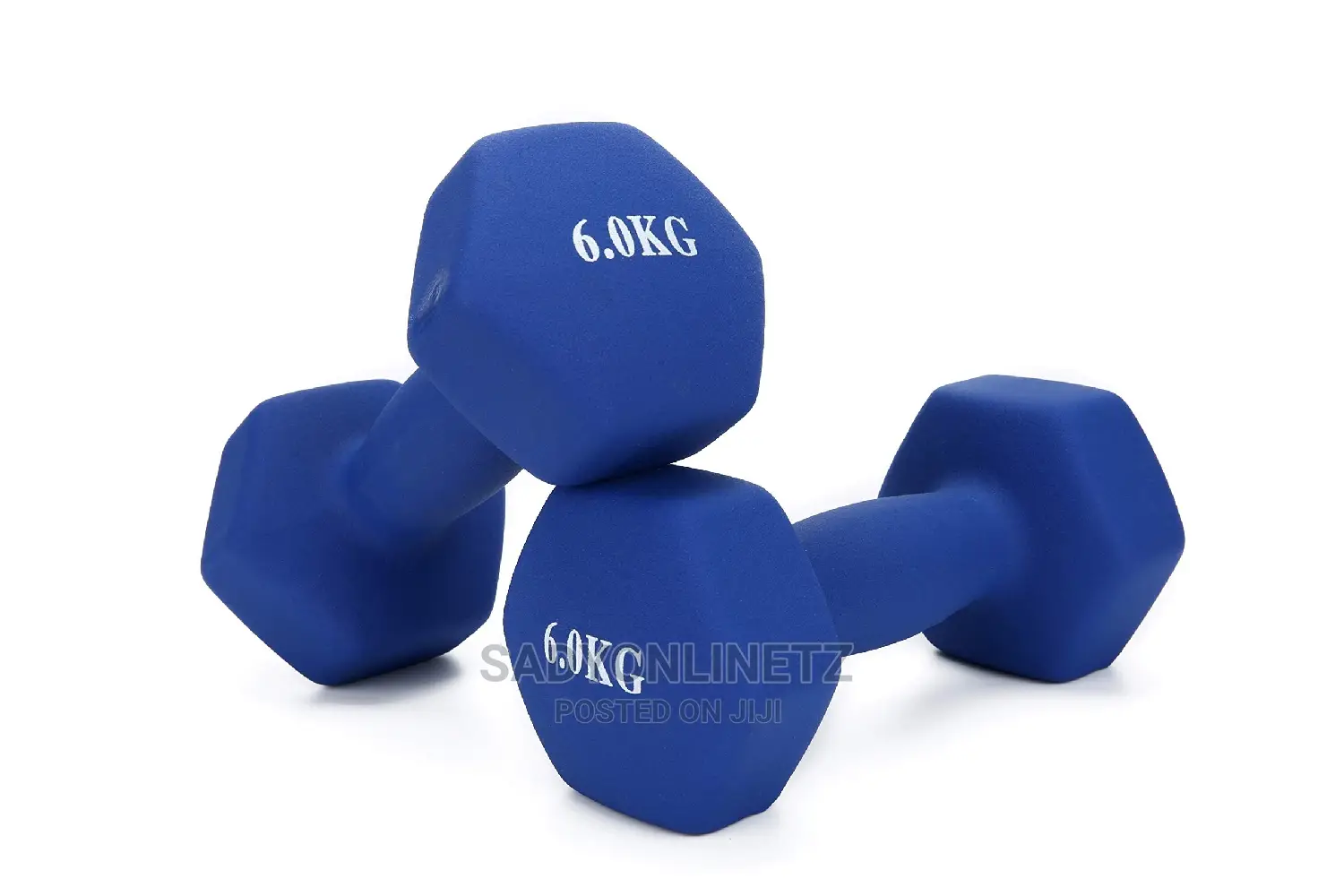 Vinly Dumbbells 6kg