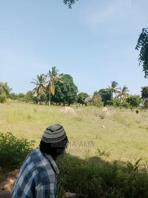 Kigamboni- McHikichini