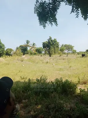 Kigamboni- McHikichini