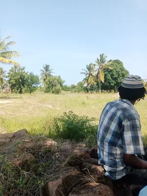 Kigamboni- McHikichini