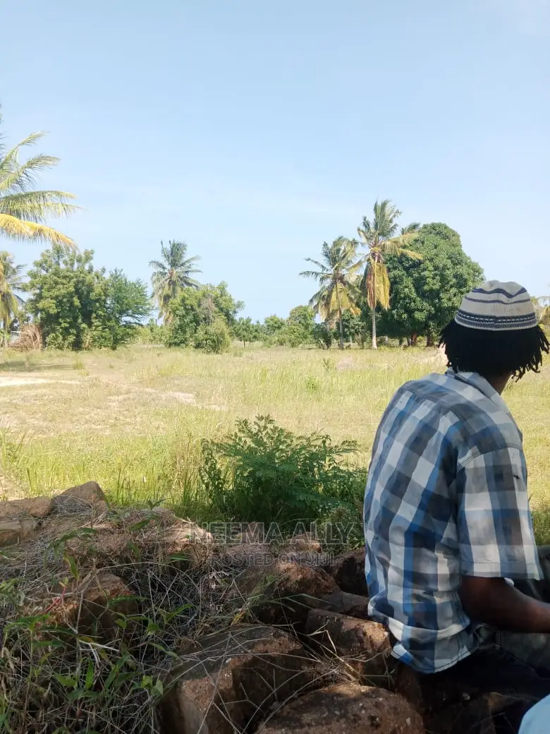 Kigamboni- McHikichini