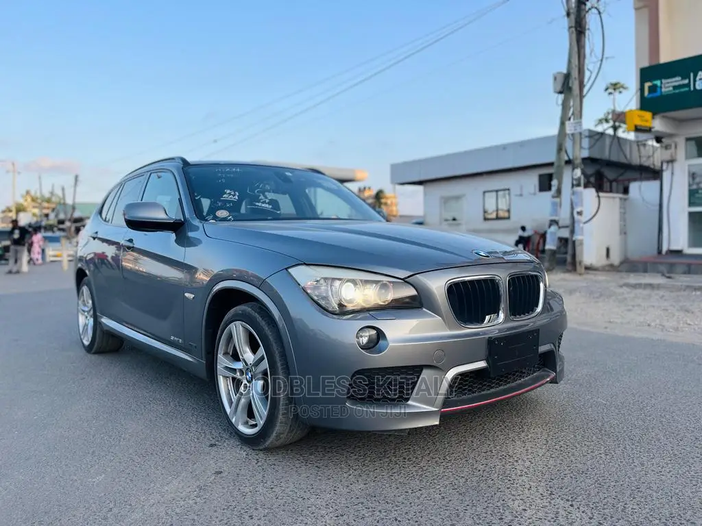 BMW X1 2011 Gray