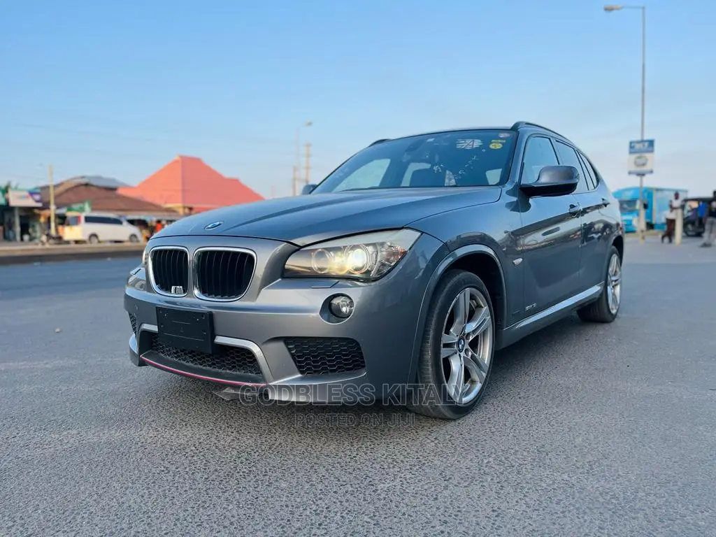 BMW X1 2011 Gray