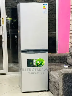 Hisense Lita 300