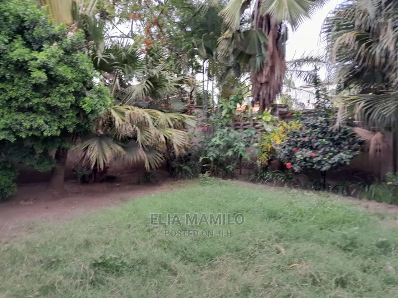 Beach Hotel for Sale in Bwejuu, Zanzibar.