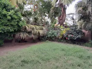 Beach Hotel for Sale in Bwejuu, Zanzibar.
