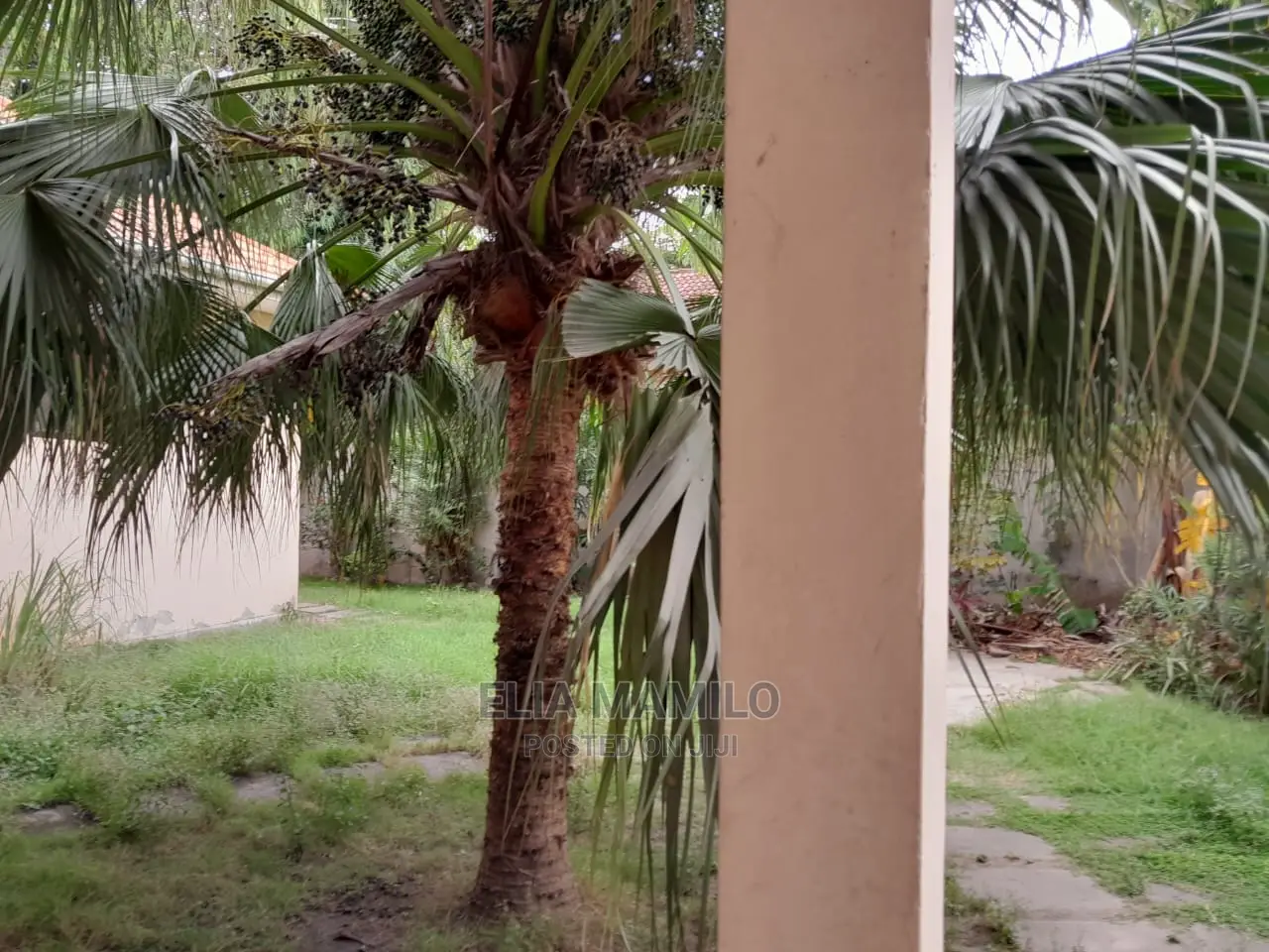 Beach Hotel for Sale in Bwejuu, Zanzibar.