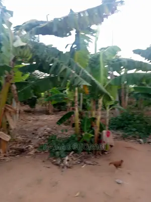 Shamba Bora Kwa Makazi