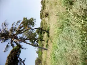Beach Plot for Sale at Kigamboni