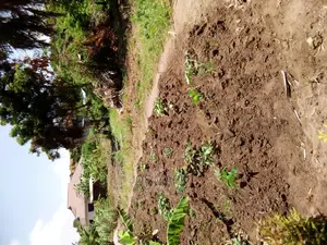 2 Acres for Sale at Kigamboni