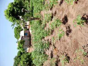 2 Acres for Sale at Kigamboni
