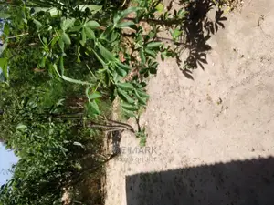 A Plot for Sale Kigamboni