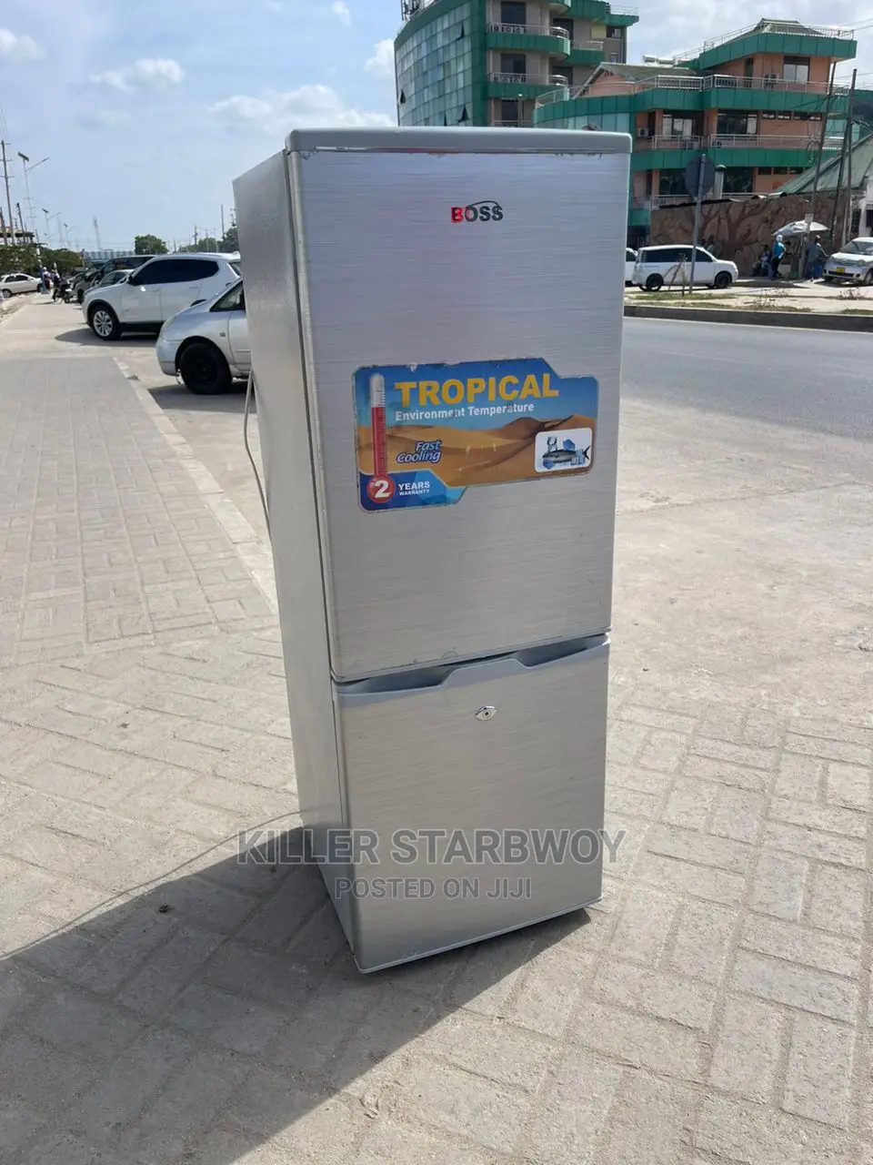 Fridge Aina Ya Boss