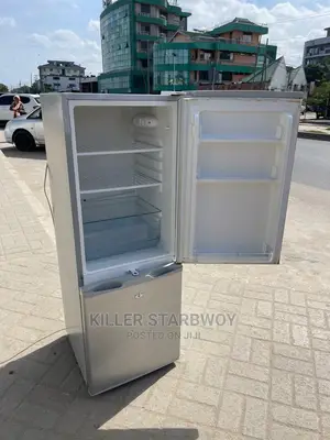 Fridge Aina Ya Boss