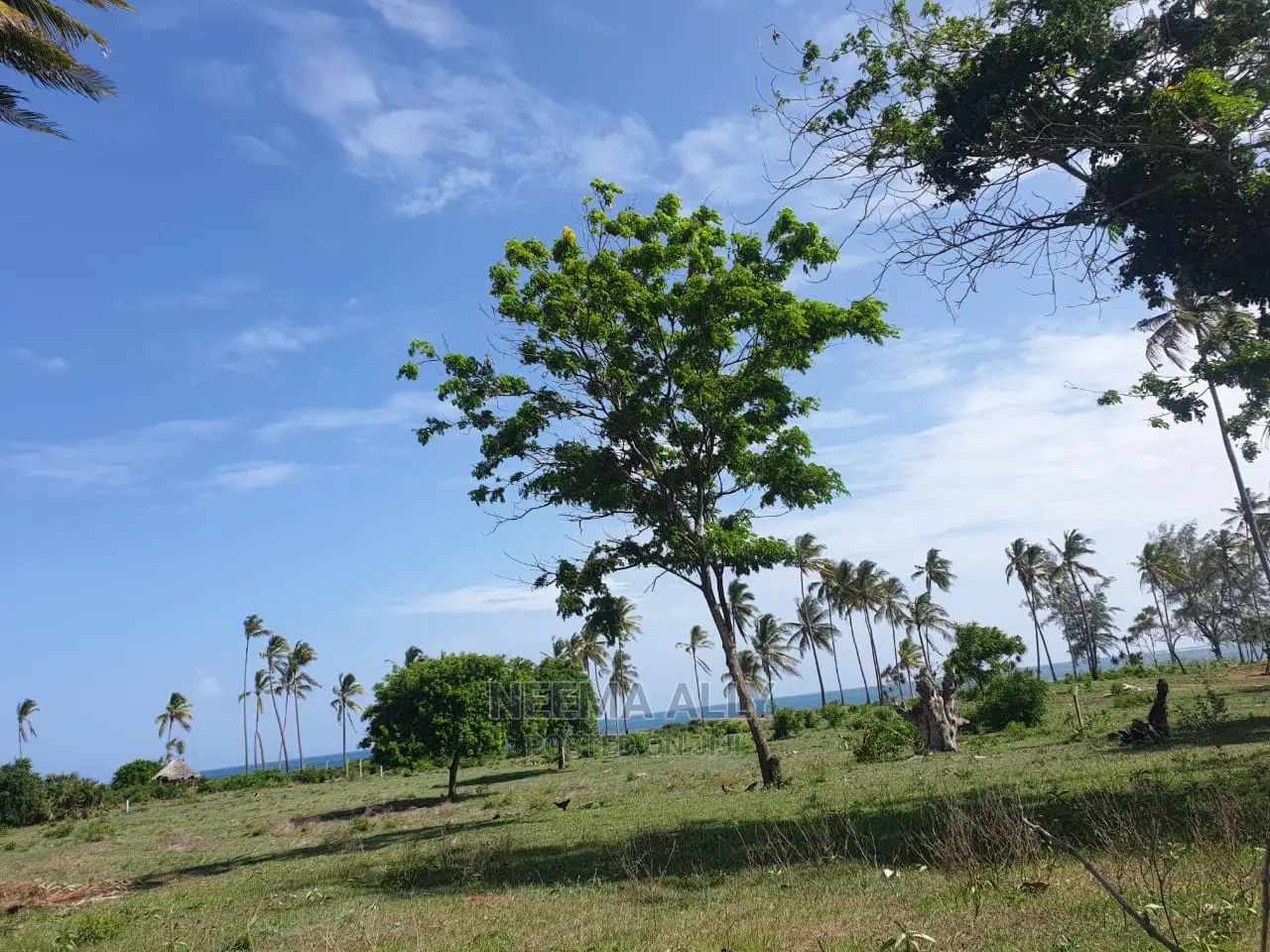 Viwanja Karibu Na Bahari Puna 