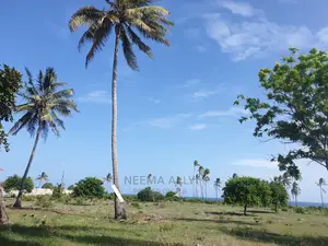 Viwanja Karibu Na Bahari Puna 