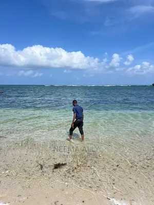 Viwanja Vya Mbutu Karibu Na Bahari