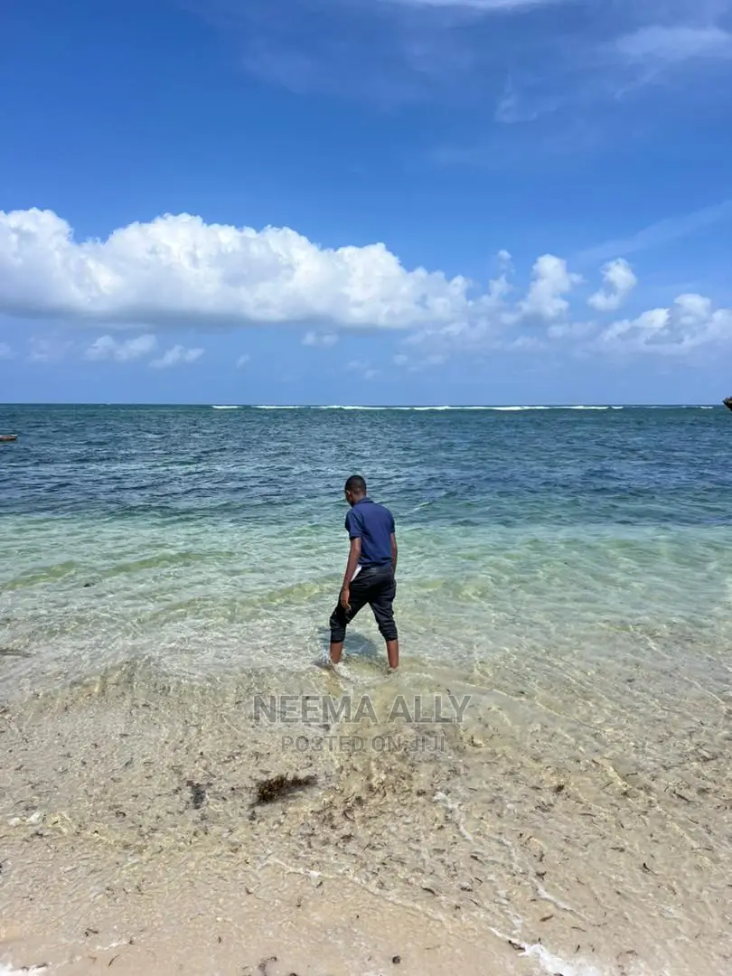 Viwanja Vya Mbutu Karibu Na Bahari