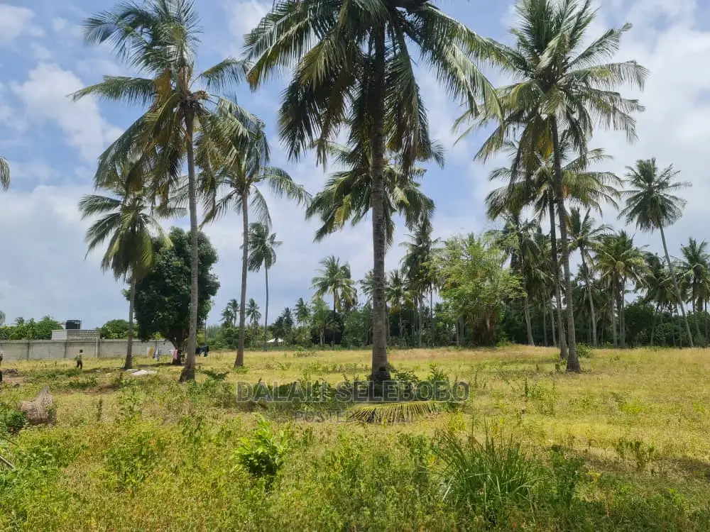 Plot Heka Moja at Kigamboni Kidete