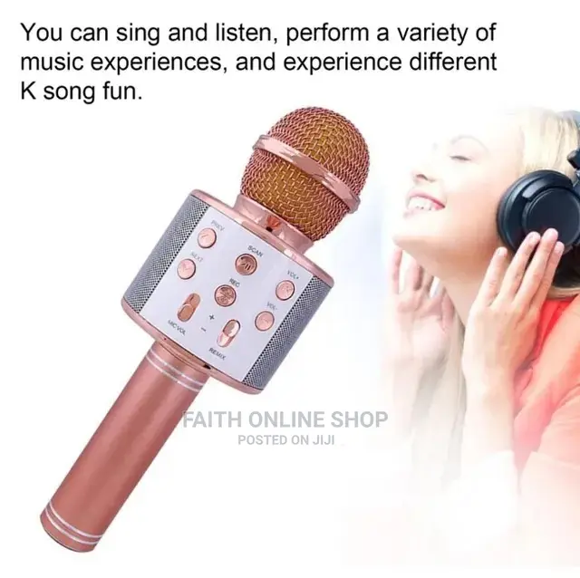 WS858 Wireless Microphone Usb Handheld