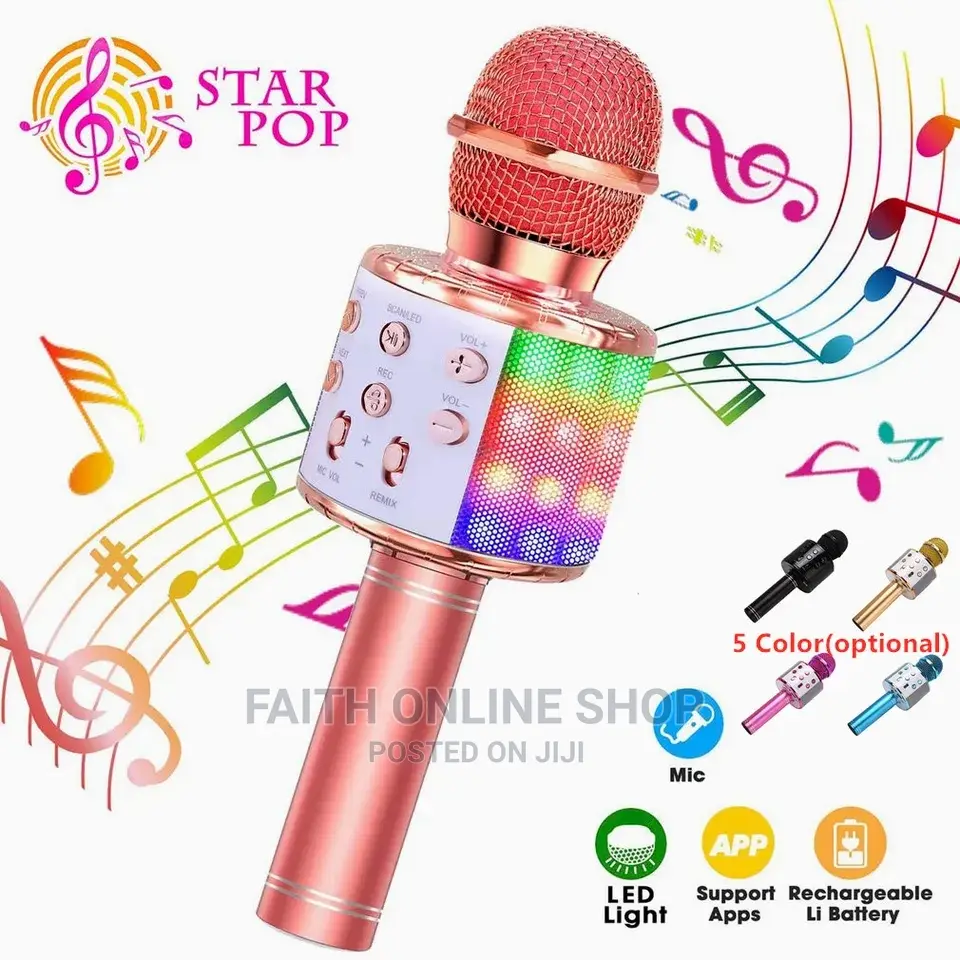 WS858 Wireless Microphone Usb Handheld
