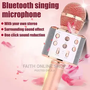 WS858 Wireless Microphone Usb Handheld