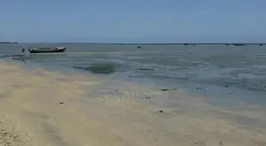 Tanga City, Ocean Front 18 Acres Land for Sale - Tanga