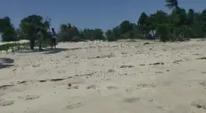 Tanga City, Ocean Front 18 Acres Land for Sale - Tanga