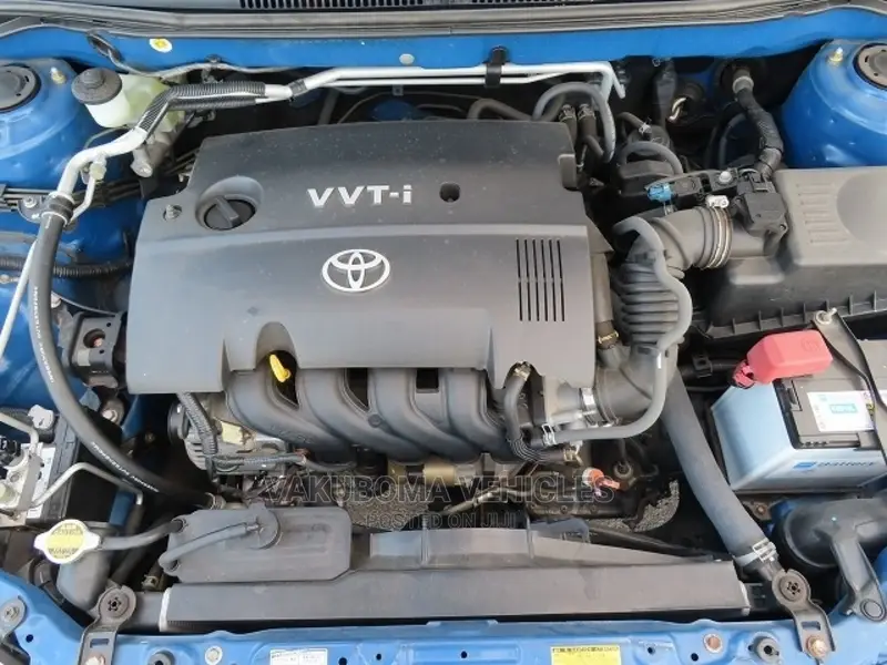 Toyota Corolla RunX 2004 Blue