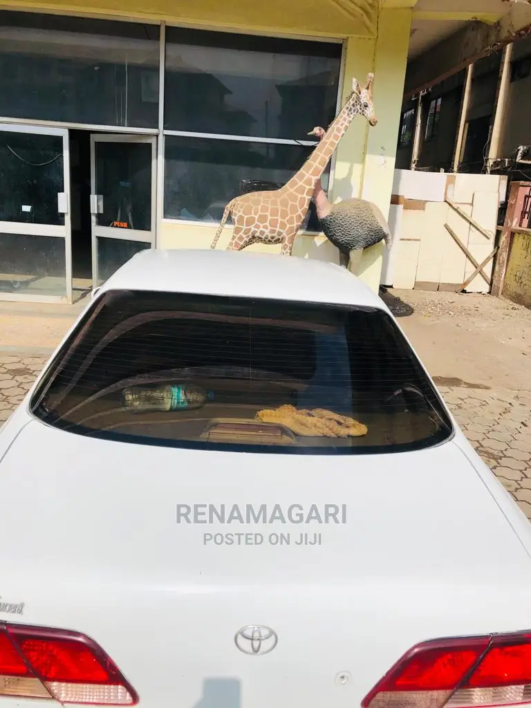 Toyota Cresta 2001 White