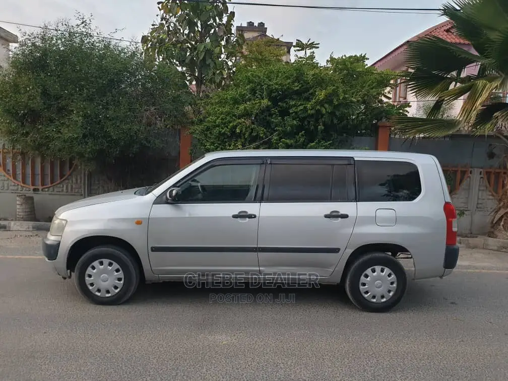 Toyota Probox 1.5 DX 2WD 2004 Silver
