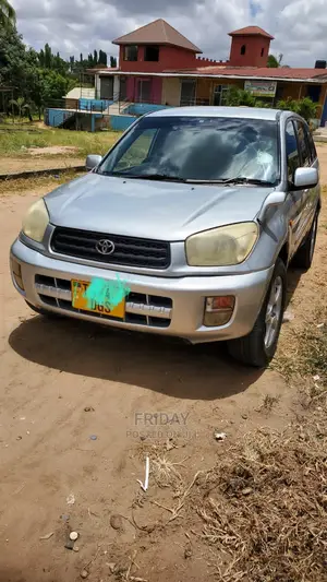 Toyota RAV4 2004 Silver