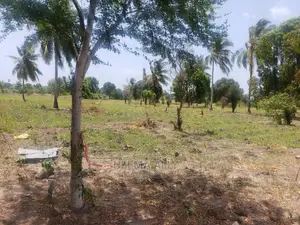 Viwanja Katikati Ya Makazi Ya Watu