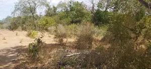 Shamba La Ekari 100 Linauzwa Kiwanga