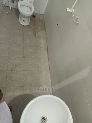 1bdrm Apartment in Kinondoni for rent
