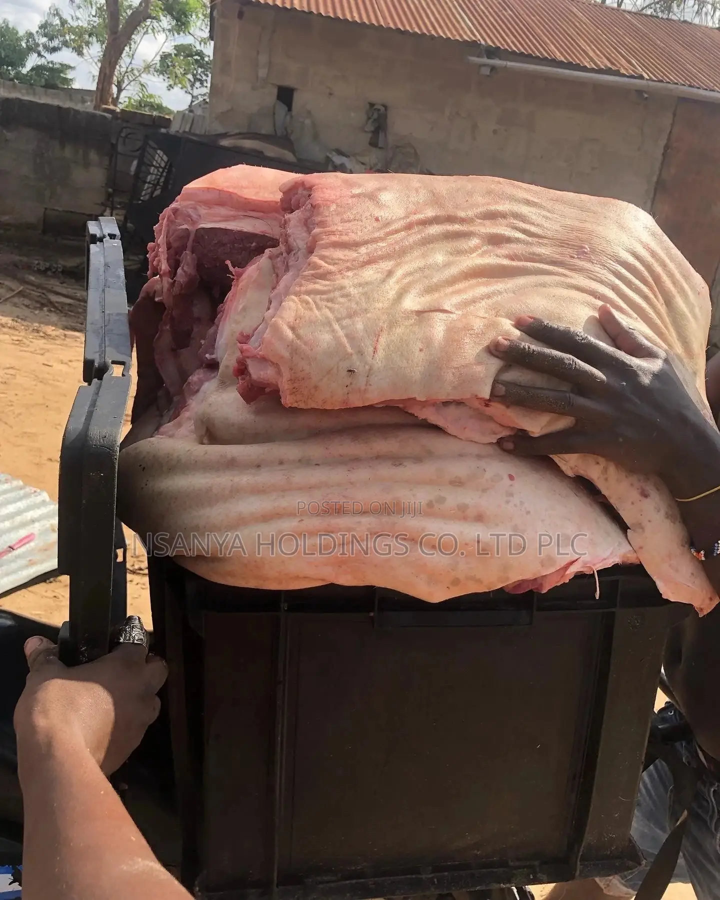 Tunauza Nyama Ya Nguruwe Ya Kawaida Kg 1 TSHS 15,000/=